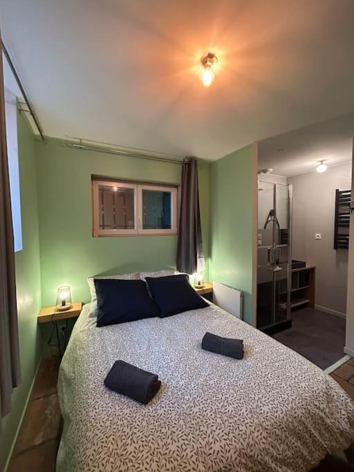 Le Cosy Balat Biel Rdc Jardin Spacieux Grisolles  Exteriör bild