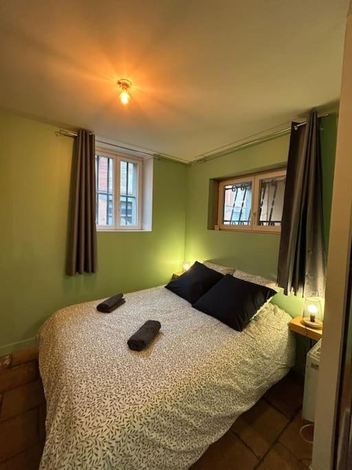 Le Cosy Balat Biel Rdc Jardin Spacieux Grisolles  Exteriör bild